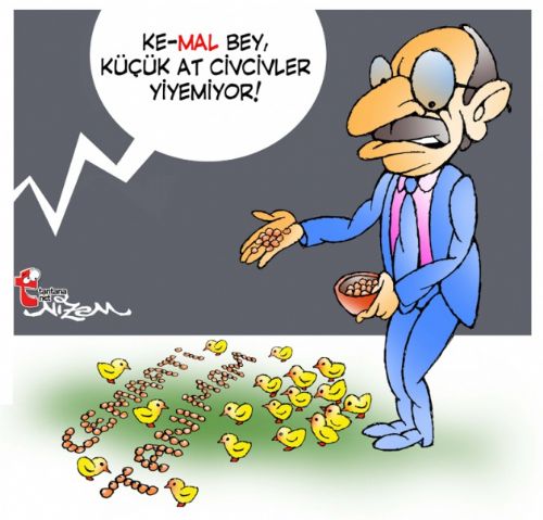 Seçim sonrası güldüren karikatürler