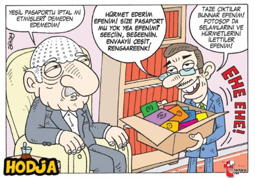 Seçim sonrası güldüren karikatürler