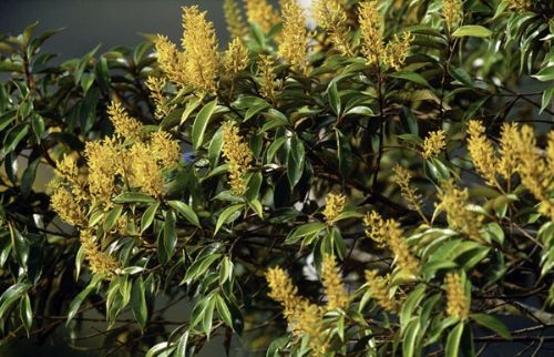 Bakalım siz onları görebilecek misiniz?