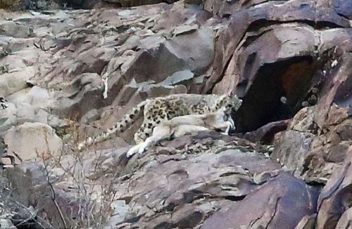 Bakalım siz onları görebilecek misiniz?