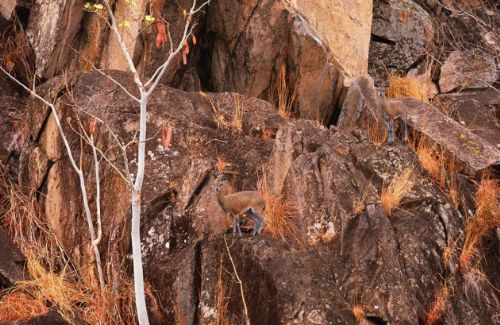 Bakalım siz onları görebilecek misiniz?
