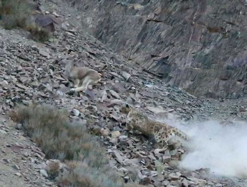 Bakalım siz onları görebilecek misiniz?