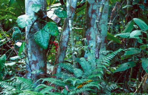 Bakalım siz onları görebilecek misiniz?