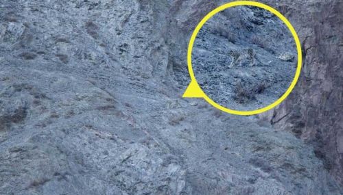 Bakalım siz onları görebilecek misiniz?