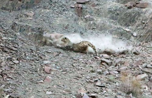 Bakalım siz onları görebilecek misiniz?