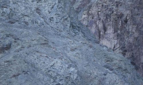 Bakalım siz onları görebilecek misiniz?