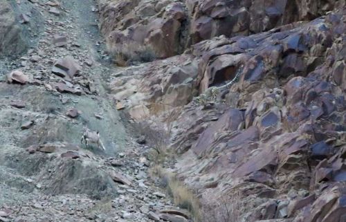 Bakalım siz onları görebilecek misiniz?