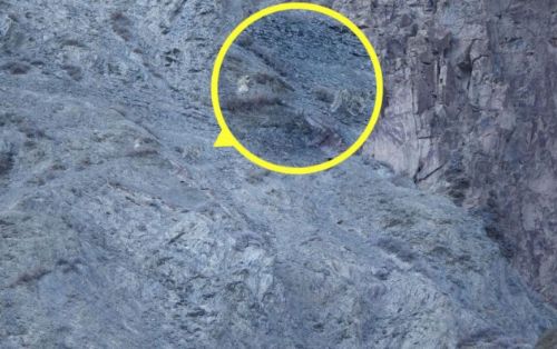 Bakalım siz onları görebilecek misiniz?