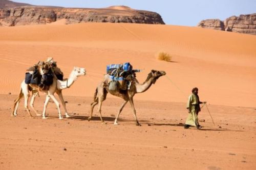 Ülkelerle ilgili sıradışı bilgiler