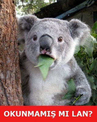 En komik Ramazan capsleri