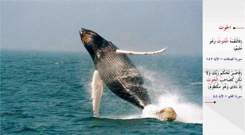 Kuran-i Kerim'de adı geçen hayvanlar...