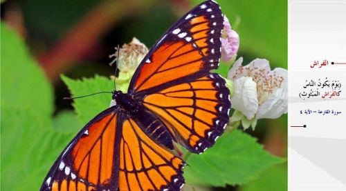 Kuran-i Kerim'de adı geçen hayvanlar...