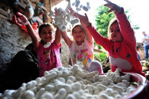 İpek böcekçiliği kazandırıyor