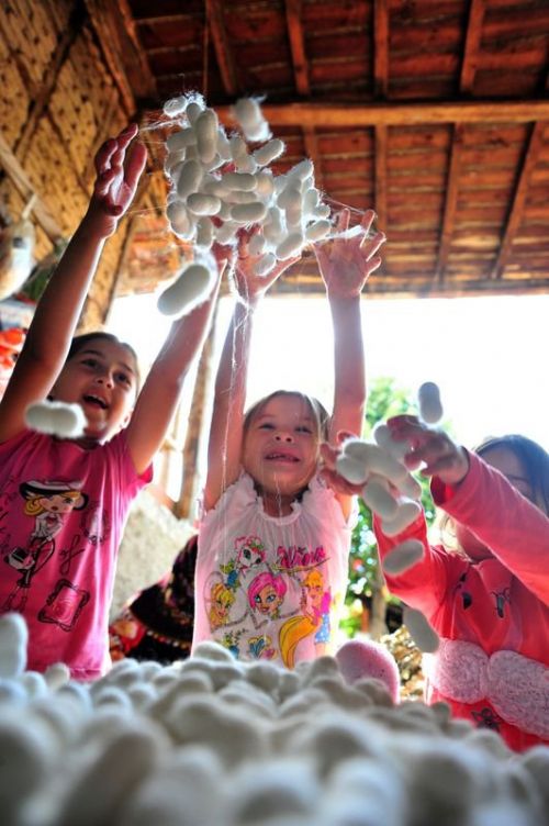 İpek böcekçiliği kazandırıyor