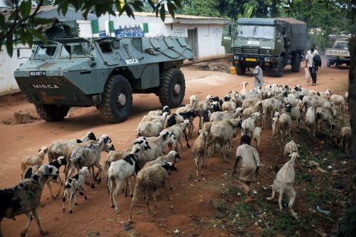 900 Müslüman kiliselere sığındı