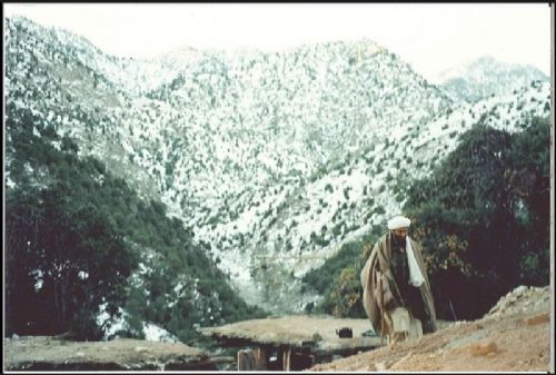 Usame Bin Ladin'in ilk kez yayınlanan fotoğrafları!