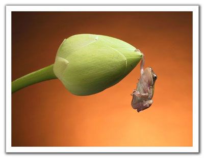 Av, anlık bir hatadır