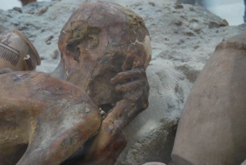 Firavun'un cesedi tüyler ürpertti