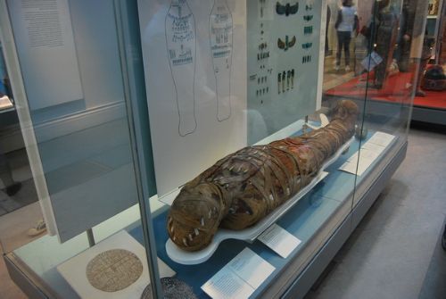 Firavun'un cesedi tüyler ürpertti