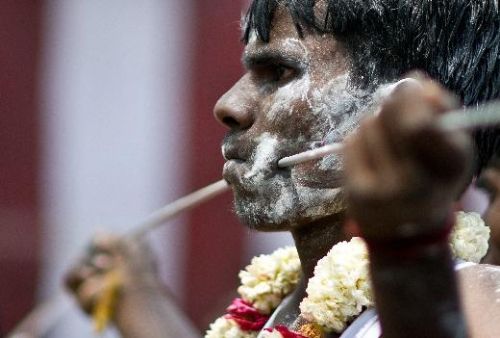 Tamiller tanrıların düğününü kutluyor