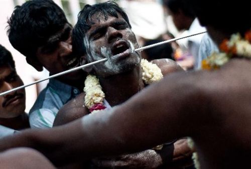 Tamiller tanrıların düğününü kutluyor