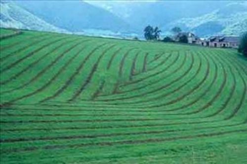 İşte bazı peygamberlerin meslekleri