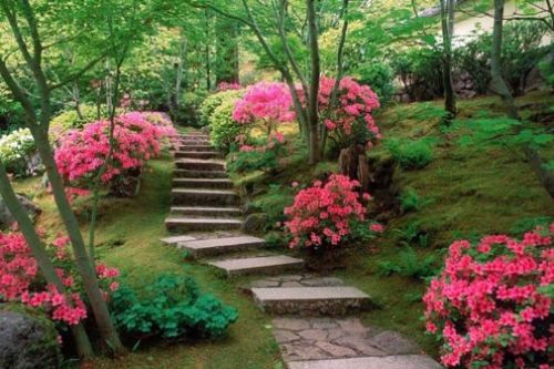 İşte bazı peygamberlerin meslekleri