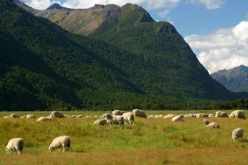 İşte bazı peygamberlerin meslekleri
