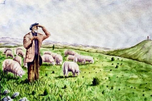 İşte bazı peygamberlerin meslekleri