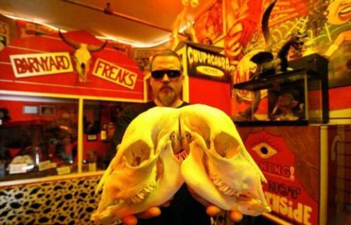 Böyle koleksiyon görülmedi