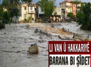 Li Van û Hakkariyê Barana Bi Şîdet