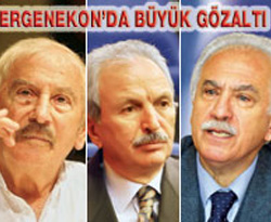 Ergenekon'un sol kanadına büyük darbe