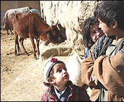 Afganistan'a ulaş(ma)yan yardımlar