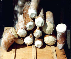 Tulum peyniri AB standardına kavuşacak