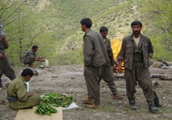 Erzurum'da 1 PKK üyesi yakalandı