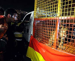 Ali Sami Yen'de aslana ceza