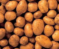 Patates yüzünden iki ülke birbirine girdi 