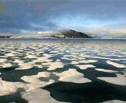 Kuzey Kutbu 2070'de tamamen eriyecek 