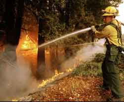 Havai fişekler antik kenti yaktı 