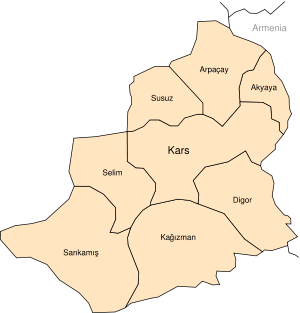 Kars'ta fetih coşkusu