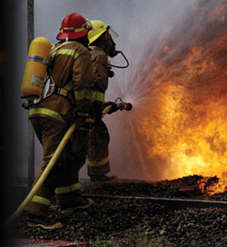 Denizli'de orman yangını   