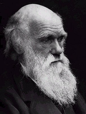İngiliz kilisesi Darwin'den özür dileyecek
