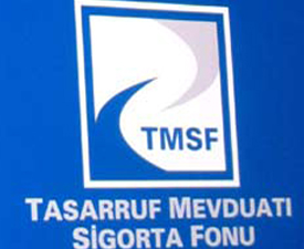 Brothers'ın iflası TMSF'yi de vurdu