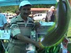 Eylül ayının zam şampiyonu 'salatalık'