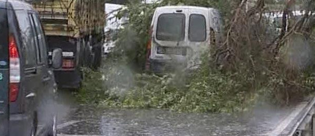 Yarım saat süren fırtına hasara yol açtı