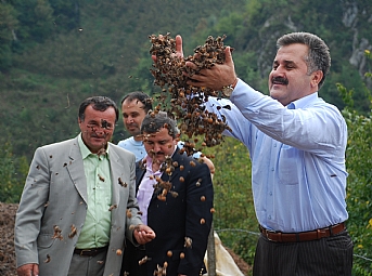 Ak Partili Fatsa: Keşke kullanılmasa