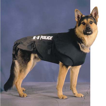 K-9 Acun Mutlucan'ı arıyor
