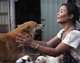 Ekonomik krizin yeni mağduru köpekler