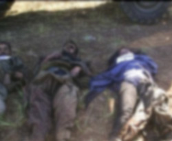 Şırnak'ta üç terörist öldürüldü