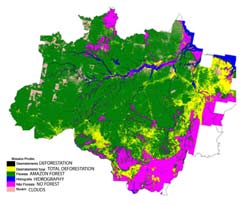 Brezilya'da ölü sayısı 79 oldu